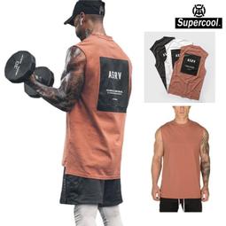 無袖背心男 大尺碼 速乾 運動 寬鬆 休閒背心 吸汗排汗 重訓訓練健身跑步運動短袖T 大尺碼訓練服飾 多色男生背心 歷史價格詳細信息