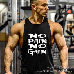 NO PAIN NO GAIN 三層式奶昔搖搖杯 附攪拌球 450ml(黑)  宙斯健身網 歷史價格詳細信息