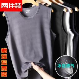 男生圓領背心內衣 台灣製造 吸濕排汗 男生內衣 無袖 可外穿 白色 灰色 藍色 散熱快乾 無袖衛生衣 男生衣著 運動上衣 歷史價格詳細信息