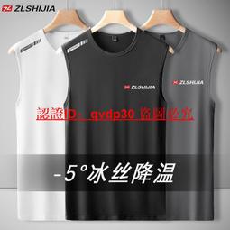 男士背心 冰絲背心  夏季薄款冰絲背心男速幹透氣網眼運動健身坎肩圓領短袖體恤衫T1/2满599免運 歷史價格詳細信息