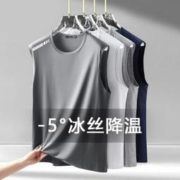 背心男款冰絲2024夏季新款透氣運動男士無袖T恤青少年夏裝坎肩潮ASZ2满599免運 歷史價格詳細信息