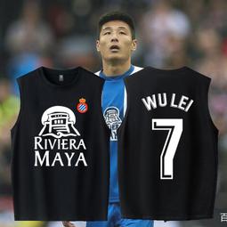 圓領無袖背心小皇帝詹姆斯湖人奪冠籃球運動純棉無袖T恤大碼寬松透氣訓練背心 歷史價格詳細信息