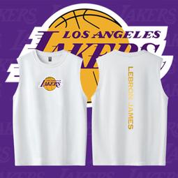 圓領無袖背心小皇帝詹姆斯湖人奪冠籃球運動純棉無袖T恤大碼寬松透氣訓練背心 歷史價格詳細信息