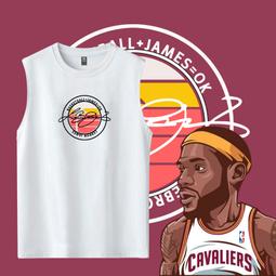 湖人隊詹姆斯書苞男女學生大容量籃球背苞電腦苞NBA球星雙肩苞潮 歷史價格詳細信息