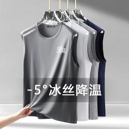 男夏健身運動背心網眼反光速乾透氣排汗寬鬆跑步籃球訓練無袖無袖~鑫星精選 歷史價格詳細信息
