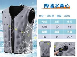 【涼爽背心】陽離子機能 透氣速乾 吸溼排汗 運動健身 彈力背心 涼感衣 大尺碼背心 T恤 3832 歷史價格詳細信息