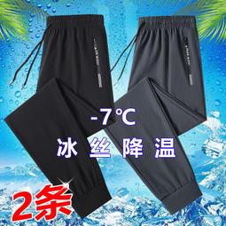 【現貨熱銷】休閑褲男薄款寬松大碼冰絲褲速干跑步長褲高彈訓練褲 價格比較,價格查詢,歷史價格詳細信息