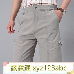 速干工裝短褲男2024夏季新款男士五分休閑褲子胖子加肥寬松大碼潮 歷史價格詳細信息
