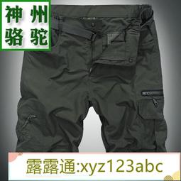 速干工裝短褲男2024夏季新款男士五分休閑褲子胖子加肥寬松大碼潮 歷史價格詳細信息