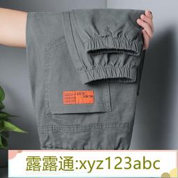 褲子 工裝褲 男褲 古龍森男士休閑褲春季加絨哈倫褲2024年潮流百搭多口袋束腳工裝褲 歷史價格詳細信息