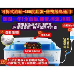 110V全自動孵蛋機 孵蛋器 自動控溫家用雞蛋孵化機 24枚孵化箱 蘆丁雞孵器 雞鴨鳥蛋家禽 雙電源孵化器 歷史價格詳細信息