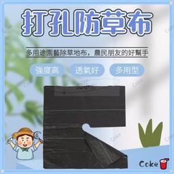 保濕朱莉歐臻顏美膚素顏霜懶人裸妝臉部隔離遮瑕 歷史價格詳細信息