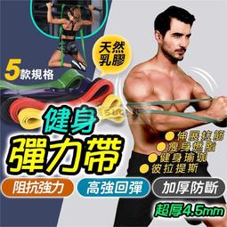 彈力帶 彈力繩 拉力帶 阻力帶 瑜伽拉力帶 運動帶 瑜珈帶 健身彈力帶 健身帶 環狀彈力帶 健身彈力繩 彈力環 環狀 歷史價格詳細信息