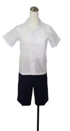 不色深藍直筒褲女高腰牛仔褲九分小個子彈力顯瘦秋裝褲子女 歷史價格詳細信息