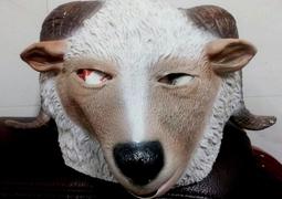 +鐵八甲+乳膠全罩灰色鴿子面具鳥面具實圖拍攝 歷史價格詳細信息