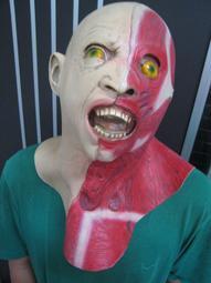 +鐵八甲+乳膠全罩灰色鴿子面具鳥面具實圖拍攝 歷史價格詳細信息