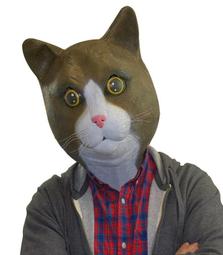 ????感情動物　迷戀新的獵物Gtm153改變你愛的磁場，八方雲集從邂逅黑玉髓墬飾，成為妳的本命物開始靈動 歷史價格詳細信息