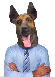 +鐵八甲+大火箭 歷史價格詳細信息