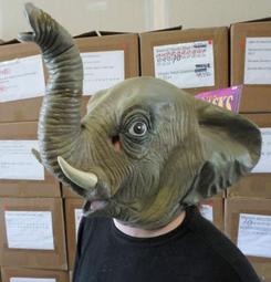 +鐵八甲+美國代購乳膠高質感動物短毛貓貓咪全罩面具棕色 歷史價格詳細信息