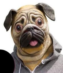 法國戈蘭黛輕奢品牌2023新款後揹包潮流揹包女大容量防盜旅行書包 歷史價格詳細信息