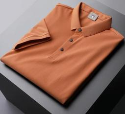 短袖POLO衫男 短袖男士 短袖上衣男生 冰絲透氣翻領POLO衫格子時尚高端舒適半袖打底衫休閑上衣商務男裝-至簡原創 歷史價格詳細信息