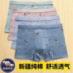 男童內褲青少年純棉透氣四角褲大童初中生髪育期新款夏季四角短褲 歷史價格詳細信息