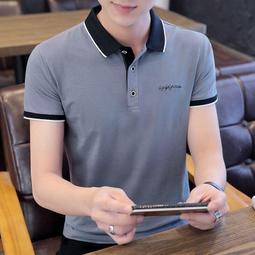 男士polo衫翻領短袖T恤男丅潮流百搭男裝簡約帶領男士上衣體桖-正正男裝 歷史價格詳細信息