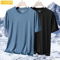 【M-5XL】冰絲短袖男 涼爽半截袖 潮男帥氣冰涼輕薄短袖T恤男 速幹衣 潮流網眼上衣服 iwm男裝【滿299元發貨】 歷史價格詳細信息