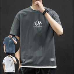 男士 T 卹冰絲短袖韓版休閒寬鬆簡約翻領 Polo 純色大碼上衣 Lelaki Berkolar Baju Kolar-22號穿搭 歷史價格詳細信息