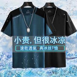 夏季透氣冰絲T恤 高彈短袖 T恤男  速乾 透氣 材質 大尺碼寬鬆 舒適休閒 男裝上衣-正正男裝 歷史價格詳細信息