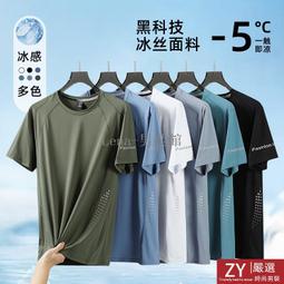 大尺碼上衣男L-8XL 冰絲網眼短袖男 夏季寬鬆大碼 t恤 速幹衣 男款 速幹 透氣 休閒 運動 短袖【滿299元發貨】 歷史價格詳細信息