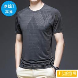 夏季短袖T恤男彈力針織衫韓版寬松圓領休閑薄款純色半袖百搭上衣打底衫 上衣男 男短T 短袖男 歷史價格詳細信息