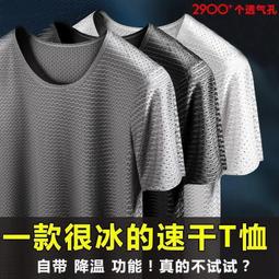 冰絲短袖T恤男夏季薄款透氣圓領休閑運動汗衫速干衣大碼寬松短袖 歷史價格詳細信息
