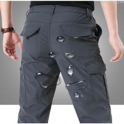 戶外運動速乾大口袋工裝短褲 日系 百搭 五分褲 寬鬆短褲 涼感 透氣 休閒短褲 機能風 戶外短褲 休閒百搭短褲子 歷史價格詳細信息