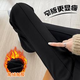 【現貨】???? 秋季新款 暖絨條紋彈性長袖上衣 長袖 上衣 厚棉 男童 兒童 童裝 百元童裝 平價童裝 小不點童裝 歷史價格詳細信息