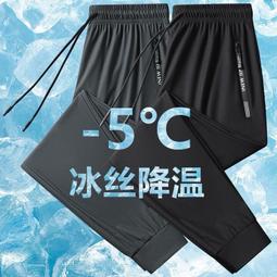 【超彈拉伸！加粗加厚】 1罐20入 罐裝髮圈 髮圈 髮繩 無接縫髮圈 彈力髮圈 韓系髮圈 髮飾 百搭髮圈 長罐型髮圈 歷史價格詳細信息