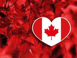 加拿大製 Canada Army MK2 combat jacket 公發 二件式可拆卸內裡 燈芯絨領口 防寒外套 古著 歷史價格詳細信息