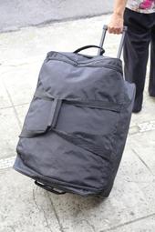 66公主秋裝女童褲子兒童內搭褲2023新款秋外穿長褲寶寶衛生褲春秋潮 歷史價格詳細信息