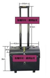 ★☆(民航Shopping網)☆★空中巴士.長榮航空A380設計粉紅系款hello.Kitty造型金屬飛機模型 歷史價格詳細信息