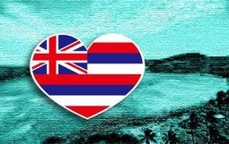 HAWAII 夏威夷 衝浪狗 衝浪 狗狗 刷毛 大學T 長袖 長T 自創品牌 韓系 深藍 白灰 米白 男 DOT聚點 歷史價格詳細信息