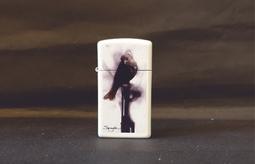 ZIPPO 火焰技術設計圖案防風打火機(禮盒套裝組) 歷史價格詳細信息