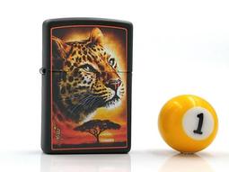 正品美國thenorthface北面北臉商務休閒款羽絨大衣羽絨外套(厚款)超保暖嚴寒雪地用稀有真品秒殺!!(本款沒現貨請勿直接下單) 歷史價格詳細信息