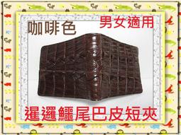 泰國鱷魚無孔無牙自動扣頭女款皮帶扣無卡槽腰帶單扣3.0cm原裝，特價 歷史價格詳細信息