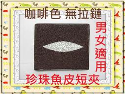 泰國鱷魚無孔無牙自動扣頭女款皮帶扣無卡槽腰帶單扣3.0cm原裝，特價 歷史價格詳細信息