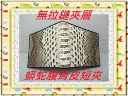 泰國鱷魚無孔無牙自動扣頭女款皮帶扣無卡槽腰帶單扣3.0cm原裝，特價 歷史價格詳細信息