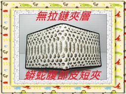 泰國鱷魚無孔無牙自動扣頭女款皮帶扣無卡槽腰帶單扣3.0cm原裝，特價 歷史價格詳細信息