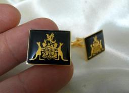 (2個1組)伸縮魔術掃把 刮刀掃把 乾濕兩用 歷史價格詳細信息