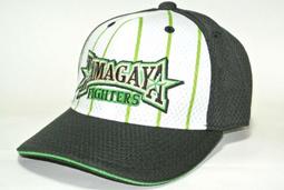 貳拾肆棒球-日職2010BBM20周年陳大豐泰昭卡 歷史價格詳細信息