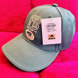 貳拾肆棒球-日本帶回日職阪神虎夏日限定特別版球衣展示品15 歷史價格詳細信息