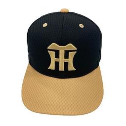 貳拾肆棒球-2024日本帶回 Mizuno pro  波賀 伊藤職人手作特別訂作ICHIRO鈴木一朗式樣硬式外野手套 日 歷史價格詳細信息